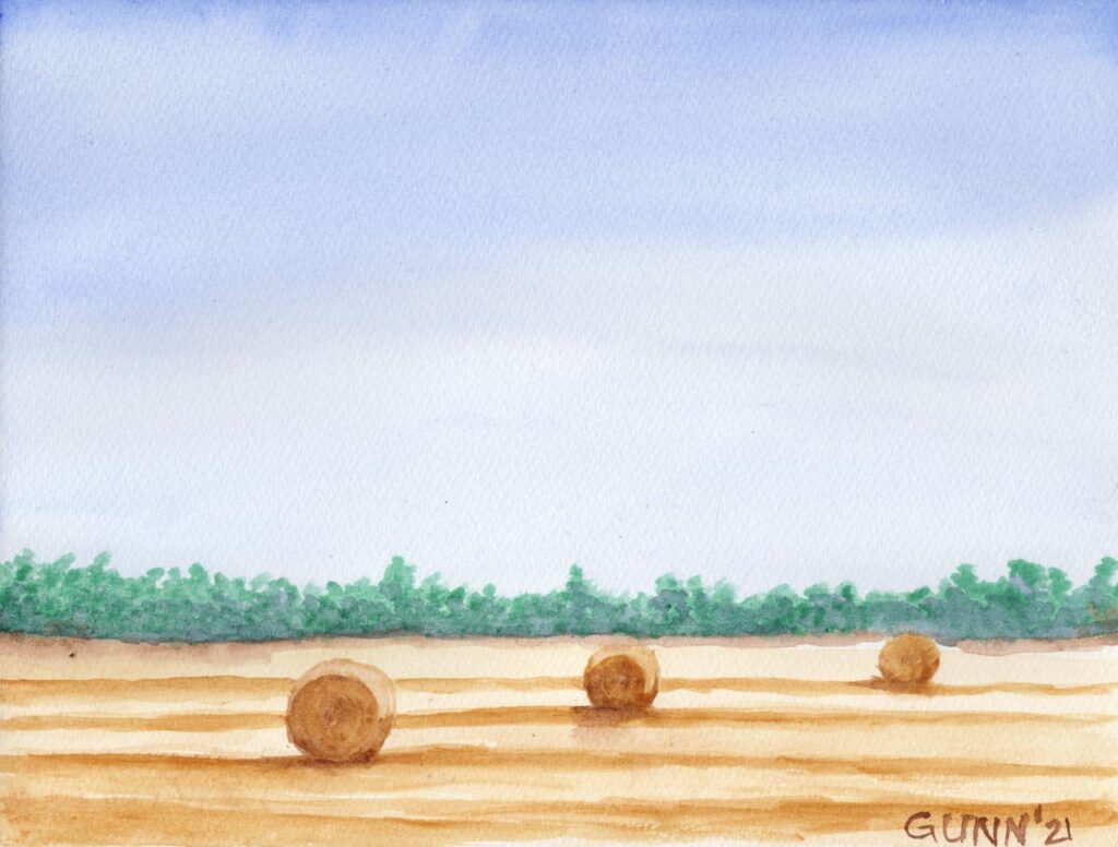 watercolor sketch Make Hay While the Sun Shines