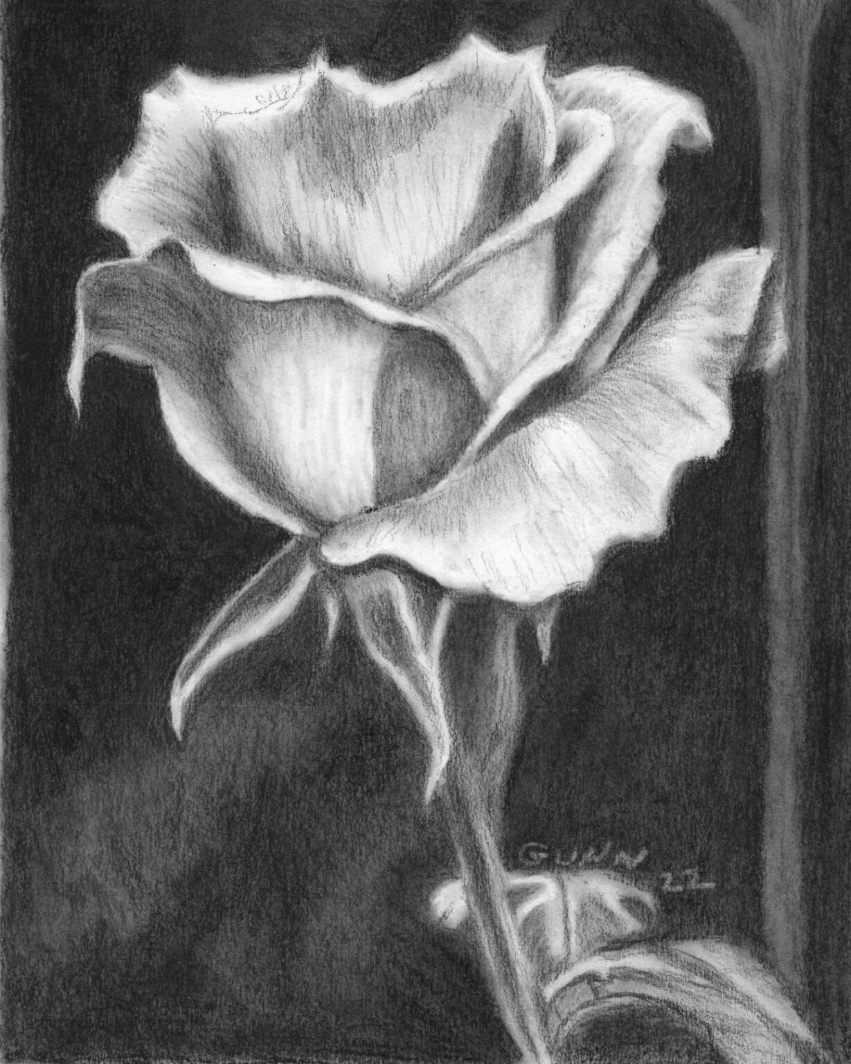 Charcoal drawing of a single rose from Katrina Gunn