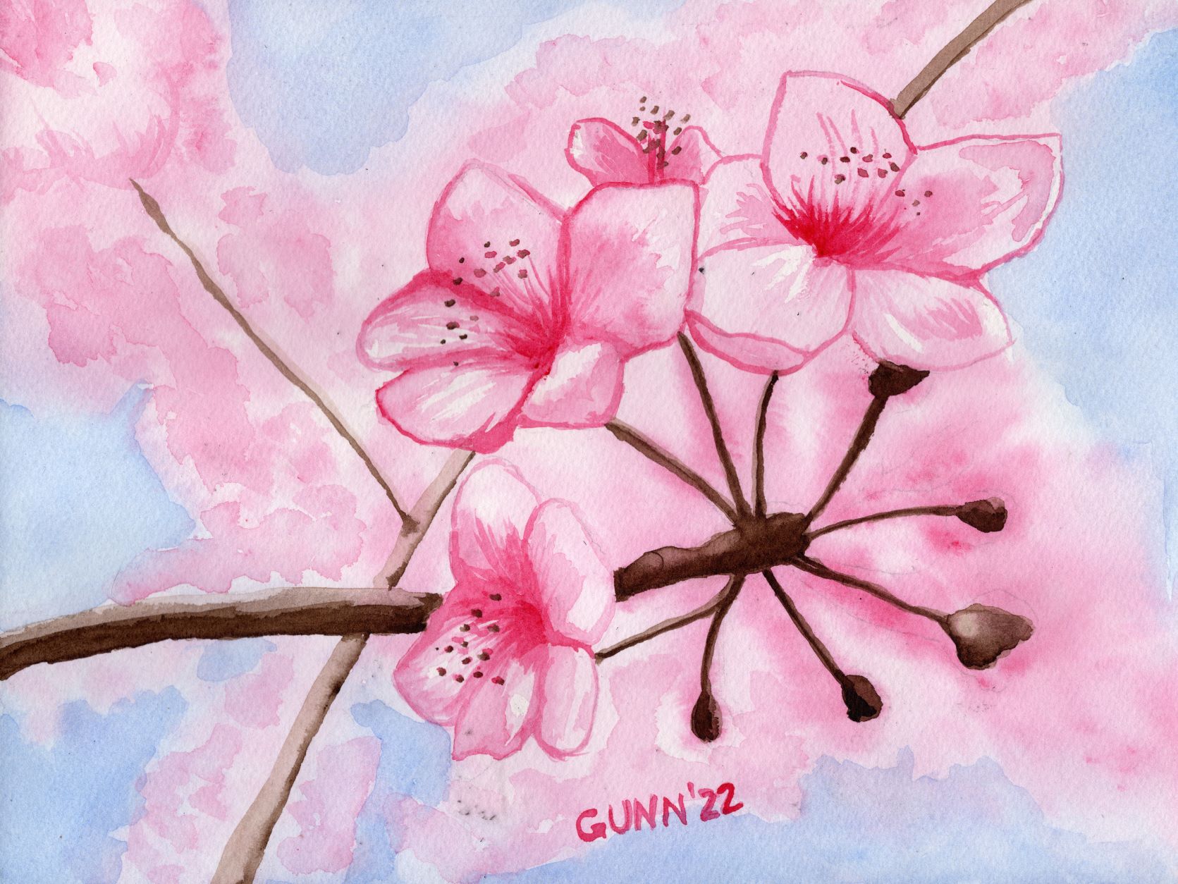 Pink Cherry Blossom Flower Drawing Done With Makeup 