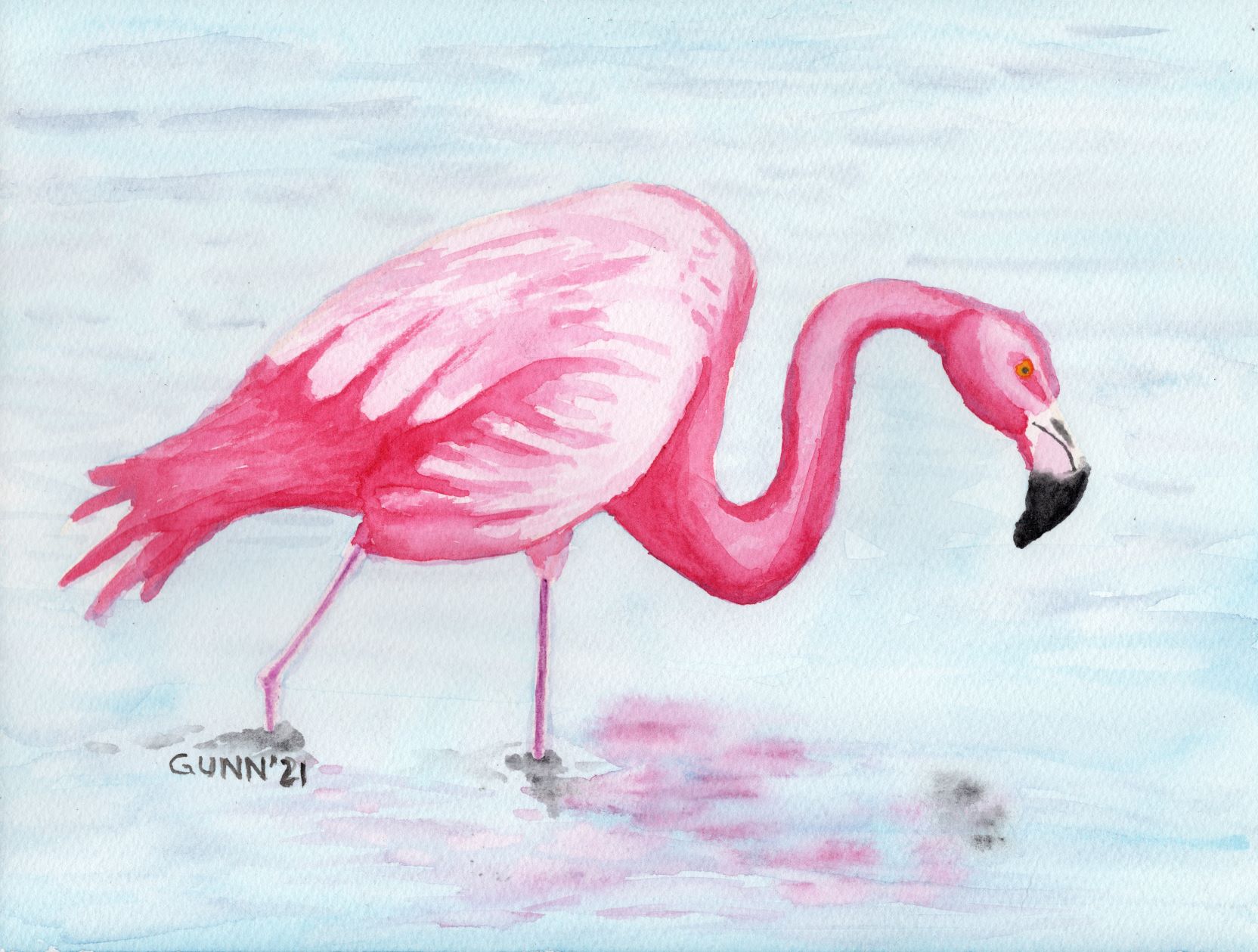 Wading Flamingo watercolor painting