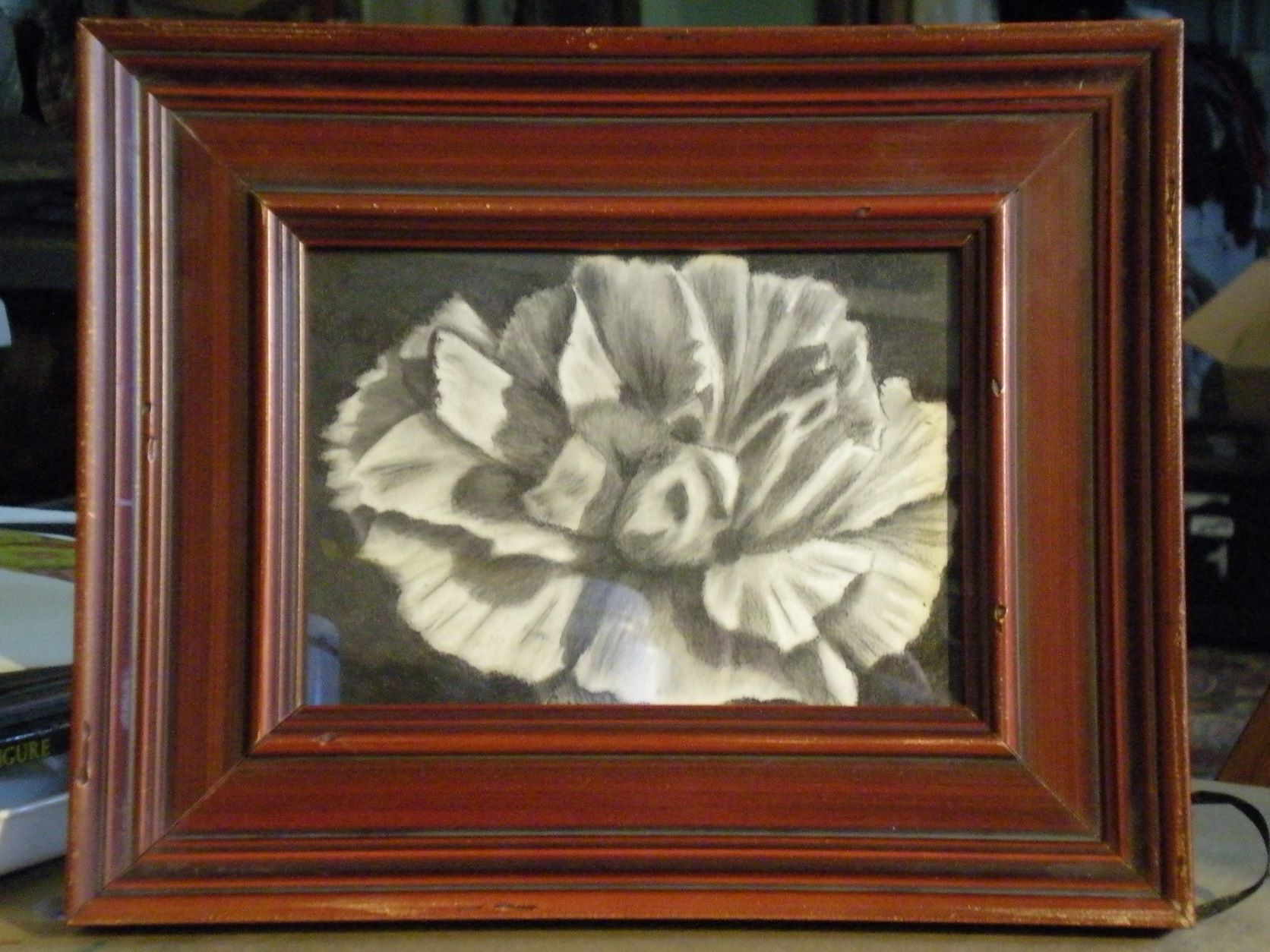 White Carnation charcoal drawing in wood frame