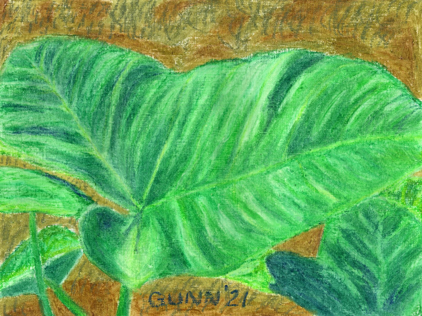 Elephant Ear Leaf, oil pastel on primed paper