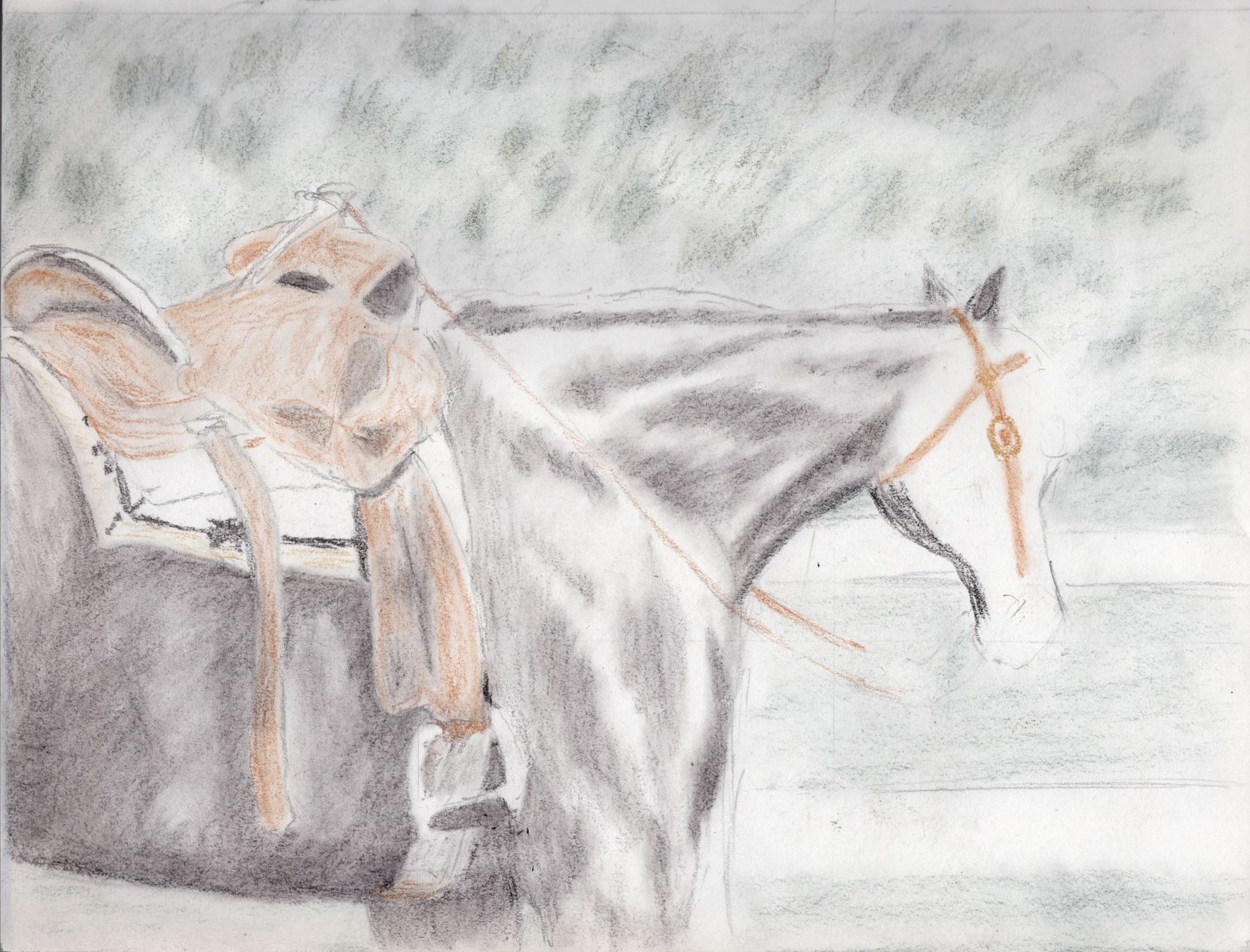 first drawing using my new tinted charcoal - a horse saddled up and waiting for the rider