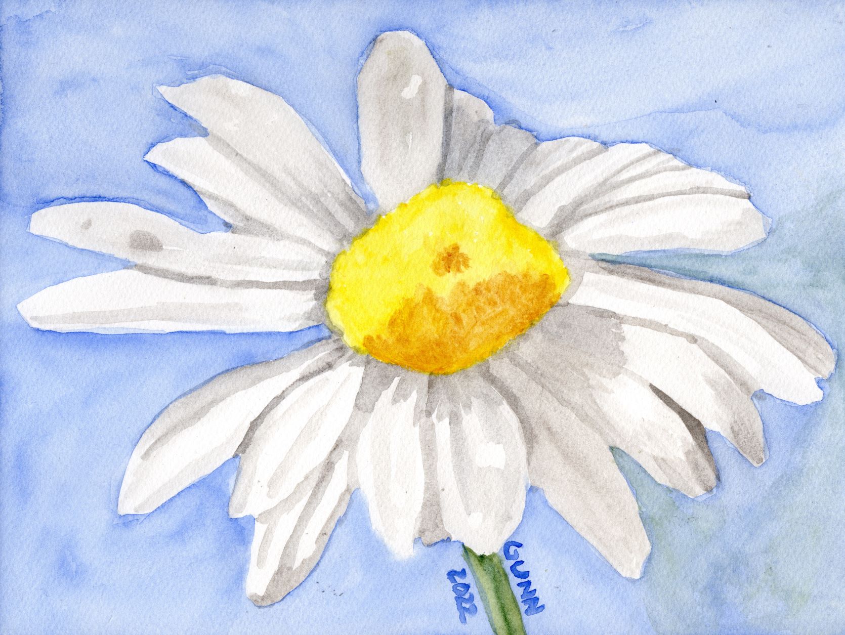 watercolor painting of single daisy flower using only four colors