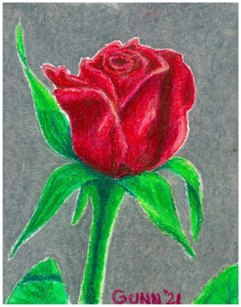 single red rose in oil pastel