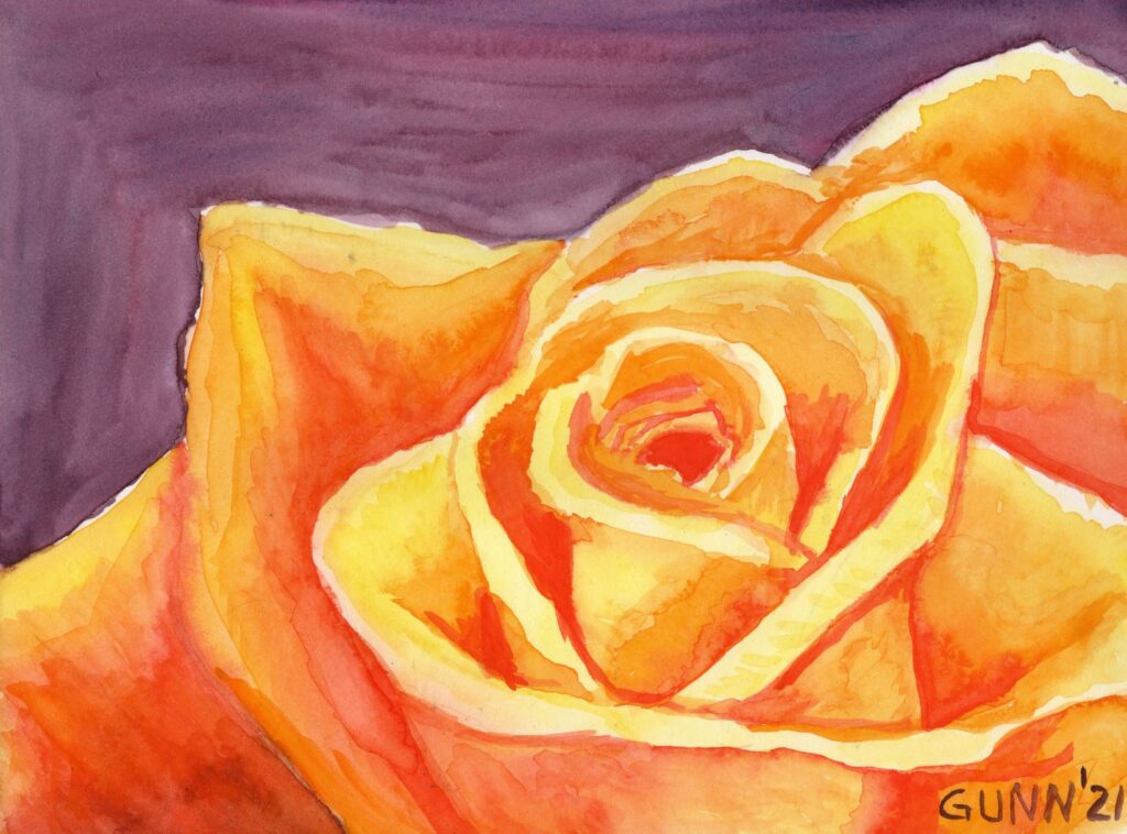 watercolor painting Electric Yellow Rose