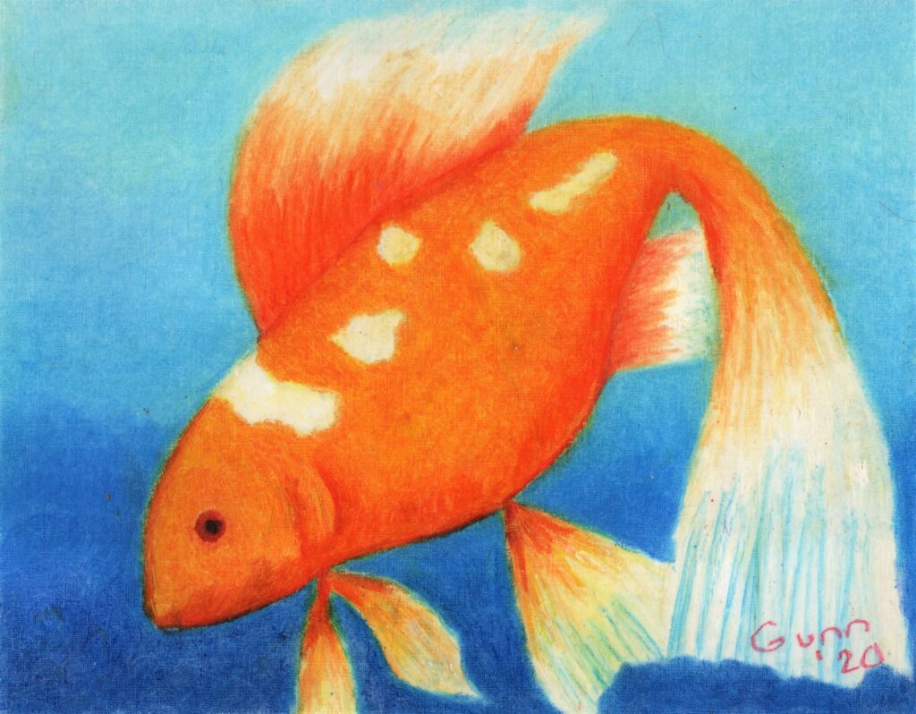 spotted goldfish in blue background to simulate water, worked in oil pastel