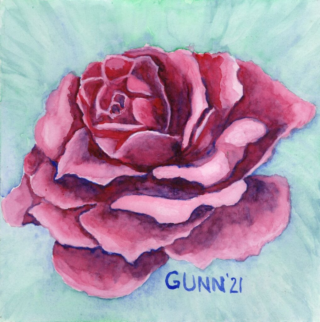 square watercolor painting Pink Rose