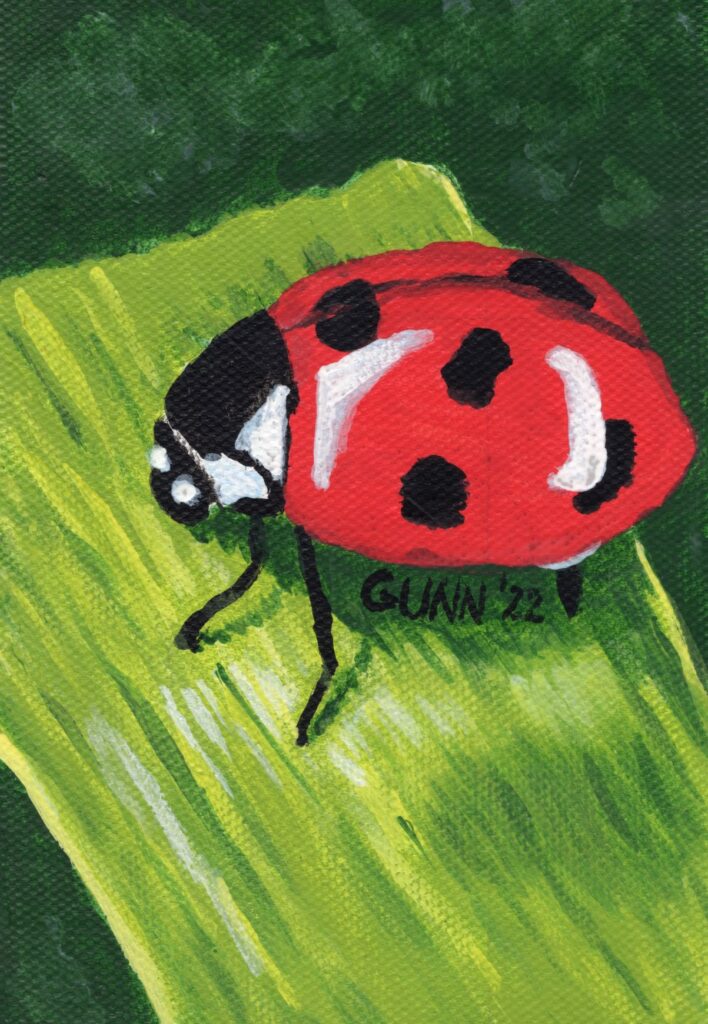 Ladybug acrylic painting
