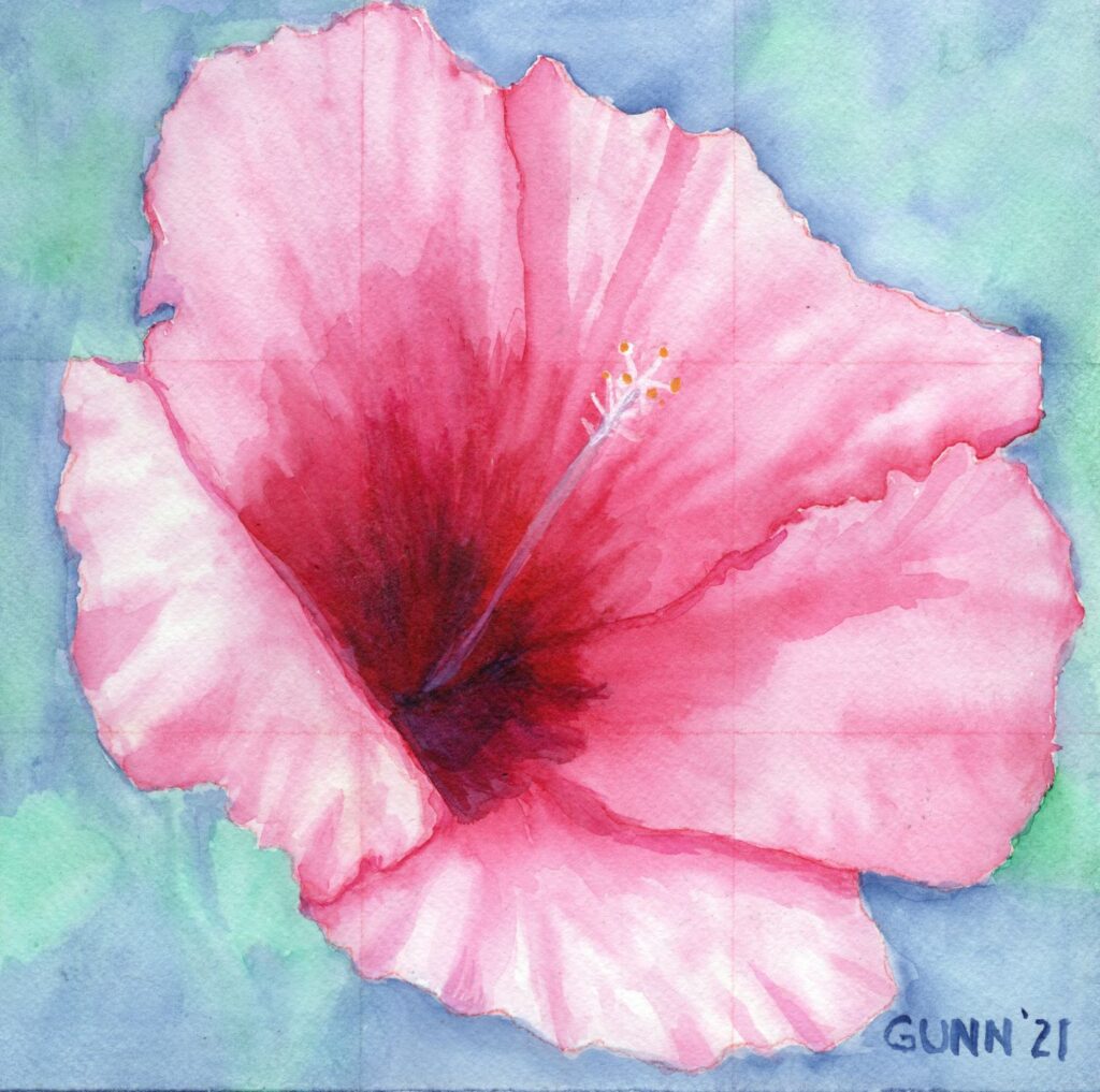 Pink Hibiscus watercolor painting by Katrina Gunn
