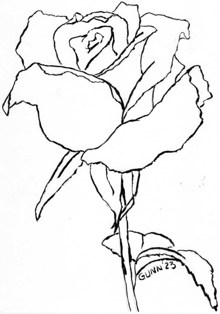 contour drawing of a rose as a coloring page