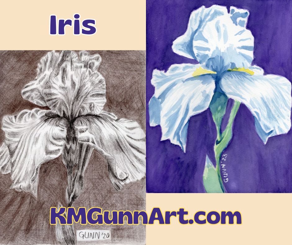 https://kmgunnart.com/wp-content/uploads/2023/11/iris.jpg